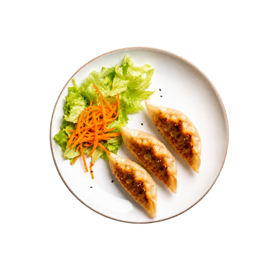 Gyoza poulet